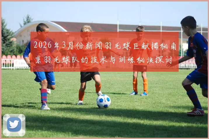 2026年3月份新闻羽毛球巨献揭秘南京羽毛球队的技术与训练秘诀探讨