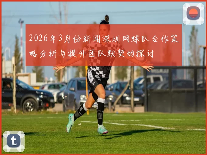 2026年3月份新闻深圳网球队合作策略分析与提升团队默契的探讨